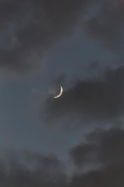 Ispahan-Pont des 33 arches-015